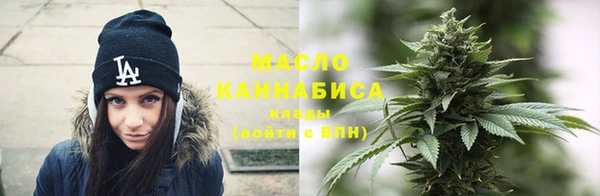 Альфа ПВП Каменка