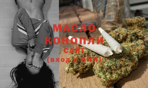 Альфа ПВП Каменка