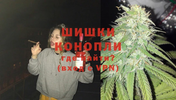 Альфа ПВП Каменка