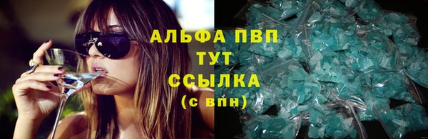 Альфа ПВП Каменка
