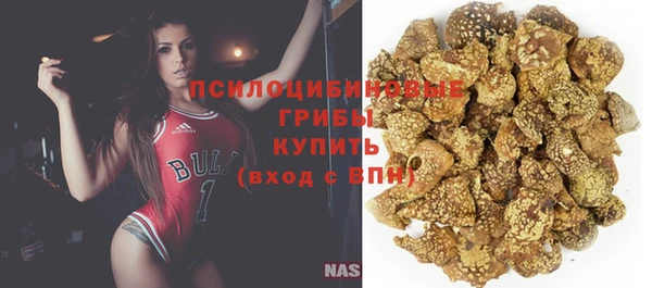 кокс Каменногорск