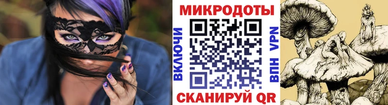 Галлюциногенные грибы Psilocybine cubensis Купить где Николаевск